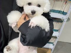 -心仪动物医院·牙专科·肿瘤·心脏科(西客站院)