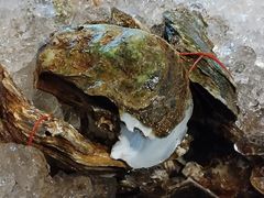 -King Kaew Seafood
