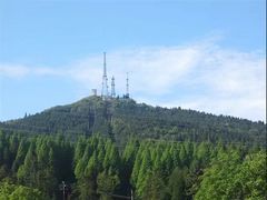 -武陵山森林公园