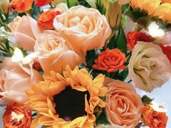 -八喜冰淇淋蛋糕(双井店)