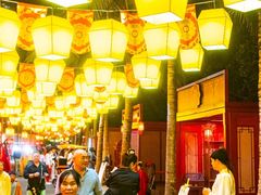 -三亚海昌梦幻海洋不夜城