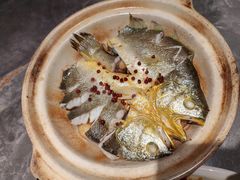 -1937青岛老味道·海肠捞饭·青岛菜(大鲍岛栈桥店)