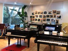 -柏斯琴行(汾阳店)