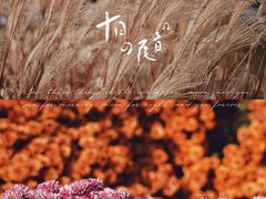 -上海辰山植物园