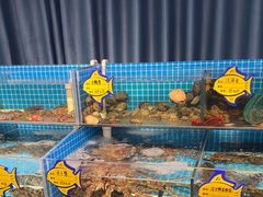 -韩记海鲜饺子旗舰店(红海新区店)
