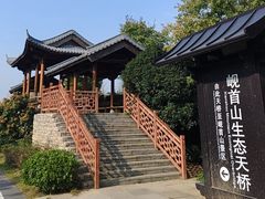 -习家池