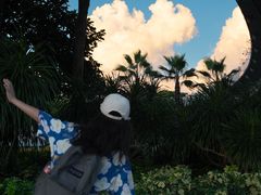 -宝安西湾红树林湿地公园