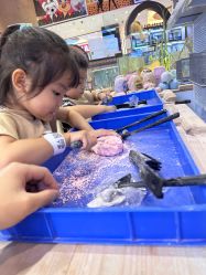 -卡通尼·Safari非洲探索乐园·生日会(金桥国际商业广场店)