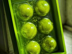 -好利来(团结湖店)