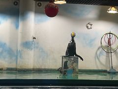 -嘉兴海底世界