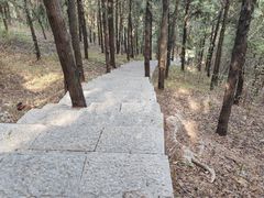 -云龙山