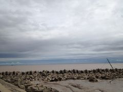 iphone_upload_pic-南汇嘴观海公园