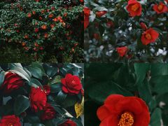 -玄武湖景区-情侣园游乐场