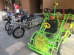 -三亚湾红树林度假世界(木棉酒店)