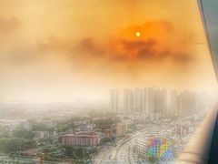 -红树林天天赶海