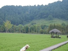 -径山花海