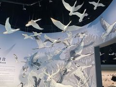 -中国湿地博物馆