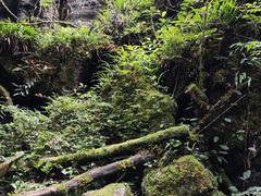 -梭布垭石林景区