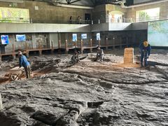 -自贡恐龙博物馆