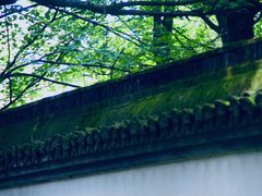 -西湖风景区十里琅珰-五云山