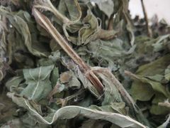 -友谊超市(友谊商城店)