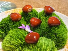 -鹿园 MOOSE(长宁店)