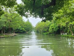 -西溪国家湿地公园