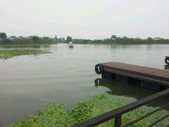 android_upload_pic-丫丫蟹庄·苏式园林农家乐·阳澄湖大闸蟹(阳澄湖莲花岛店)