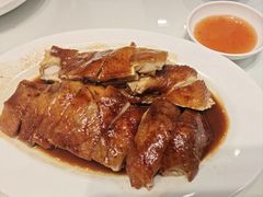 -老广酒楼(樱花店)