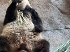 -宁波野生动物园