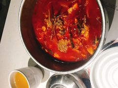 -本家韩国烤肉(青岛万象城店)