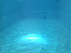 -上海潜殿潜水中心