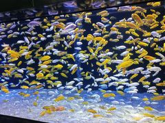 -成都浩海立方海洋公园