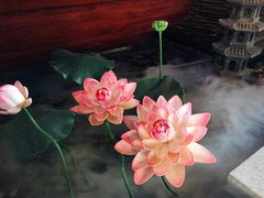 -碧露轩·大益茶体验馆(镇江路店)