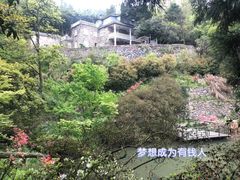 -莫干山风景区