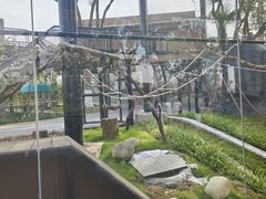 -武汉动物园
