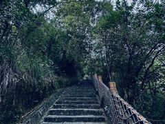 -广州白江湖森林公园