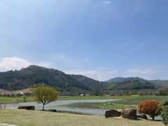 -径山花海