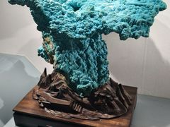 -甘肃地质博物馆