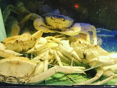 -金唐海鲜酒家