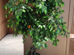 -桔子酒店(天津五大道店)