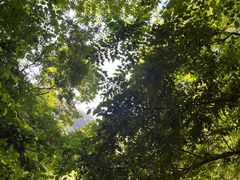 -苍岩山风景名胜区