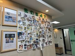 -半岛宠物医院24小时·内窥镜·牙科·碎石中心(府城大道店)