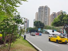 -大龙山(地铁站)