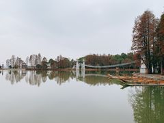 -东湖落雁景区