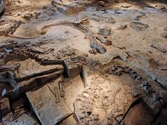 -自贡恐龙博物馆