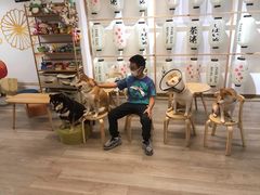 -柴迷FANS CLUB·柴犬狗咖·猫咖