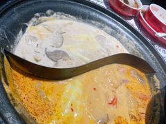 -生活如沸·顺德水牛奶火锅(大学路店)