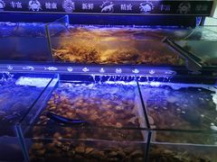 -星伦多自助料理(宝山龙湖天街店)