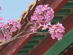 -天竺岩寺